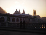 IMGP3266.jpg