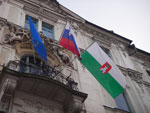IMGP3278.jpg