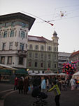 IMGP3282.jpg