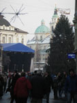 IMGP3286.jpg