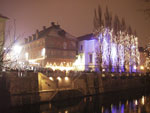 IMGP3309.jpg