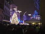 IMGP3344.jpg