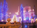 IMGP3358.jpg