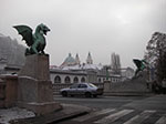 IMGP3365.jpg
