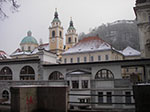IMGP3370.jpg