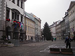 IMGP3374.jpg