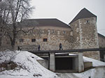 IMGP3390.jpg