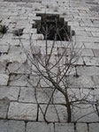 IMGP3397.jpg