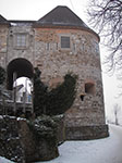 IMGP3403.jpg
