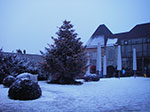IMGP3420.jpg