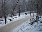 IMGP3422.jpg