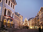 IMGP3426.jpg