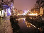 IMGP3433.jpg