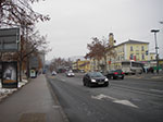 IMGP3445.jpg
