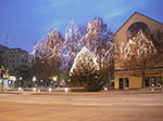 IMGP3456.jpg