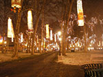 IMGP3476.jpg