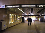 IMGP3483.jpg