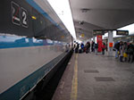 IMGP3484.jpg