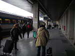 IMGP3489.jpg