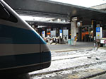 IMGP3490.jpg