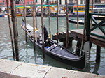 IMGP3510.jpg