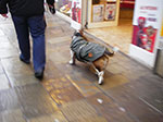 IMGP3579.jpg