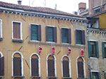 IMGP3589.jpg