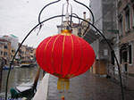 IMGP3592.jpg