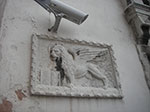 IMGP3603.jpg