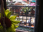 IMGP3666.jpg