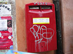 IMGP3681.jpg