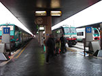 IMGP3689.jpg