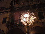 IMGP3704.jpg