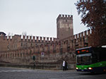 IMGP3723.jpg