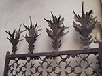 IMGP3734.jpg