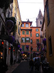 IMGP3743.jpg
