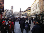 IMGP3746.jpg