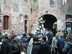 IMGP3751.jpg