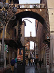 IMGP3768.jpg