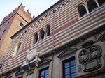 IMGP3771.jpg