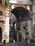 IMGP3775.jpg