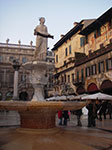 IMGP3783.jpg