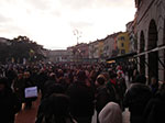IMGP3790.jpg