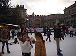IMGP3803.jpg