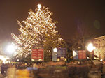 IMGP3861.jpg
