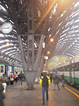 IMGP3891.jpg
