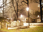 IMGP3916.jpg