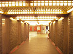 IMGP3917.jpg