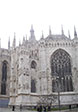 IMGP3932-pan.jpg