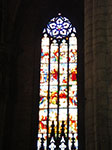 IMGP3953.jpg